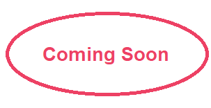 NIBM road Kolte Patil 2BHK Plan